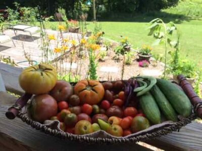 Edible-Garden Planner: July 2016 Image